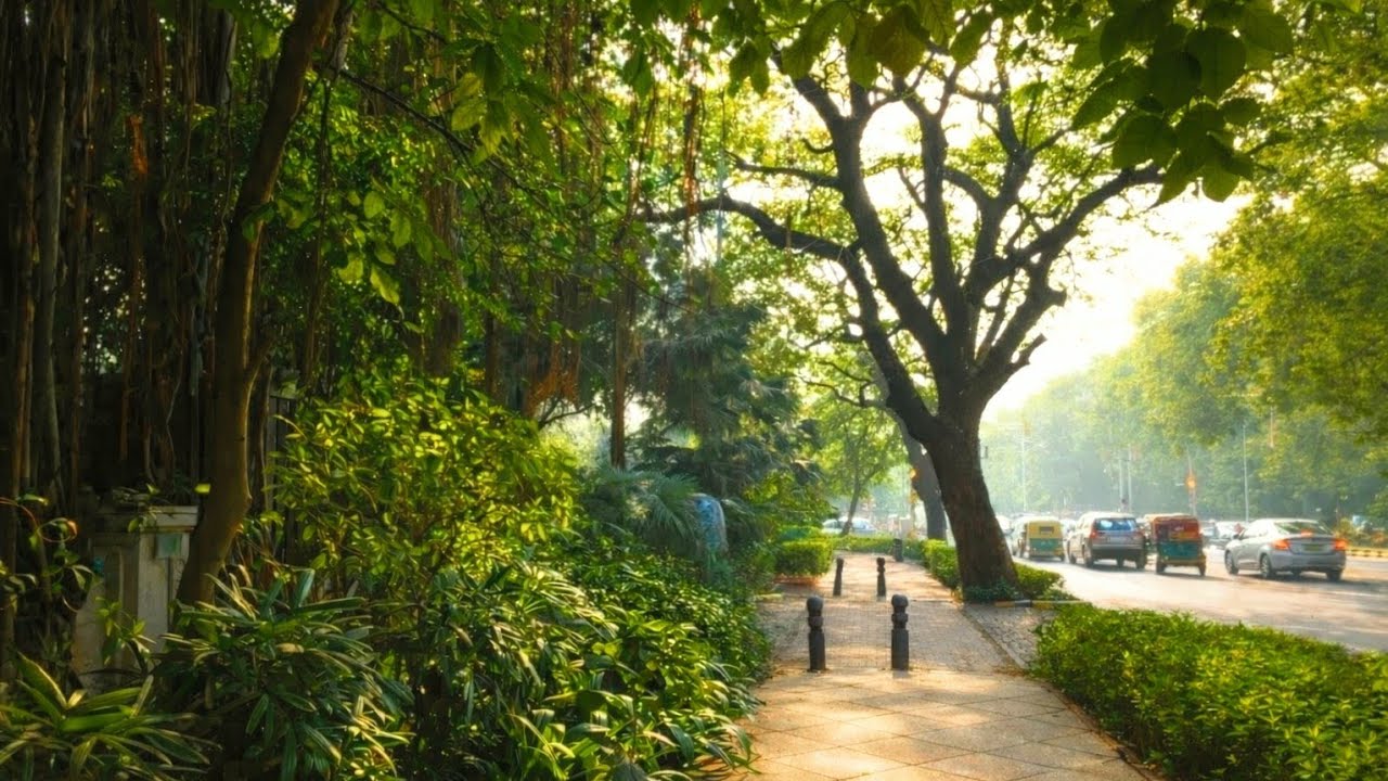 Peaceful Neighborhood Walk, Delhi, India | Daytime City Atmosphere | 4K Walking Tour| Part 1