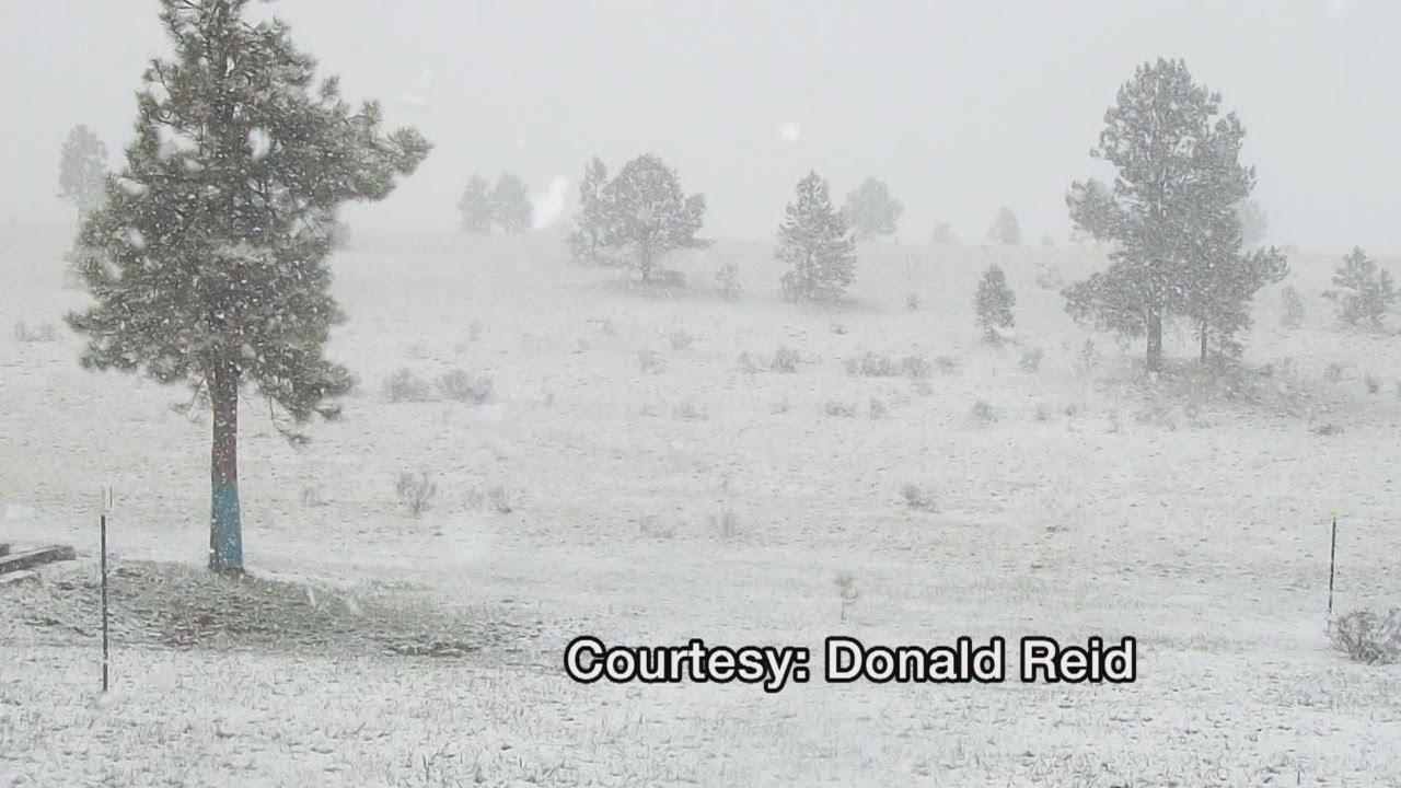 Late winter storm brings snow, frigid temperatures