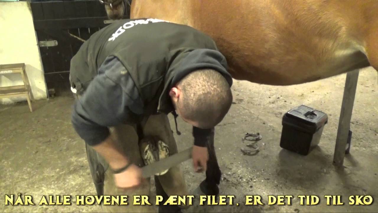 Besøg af smeden