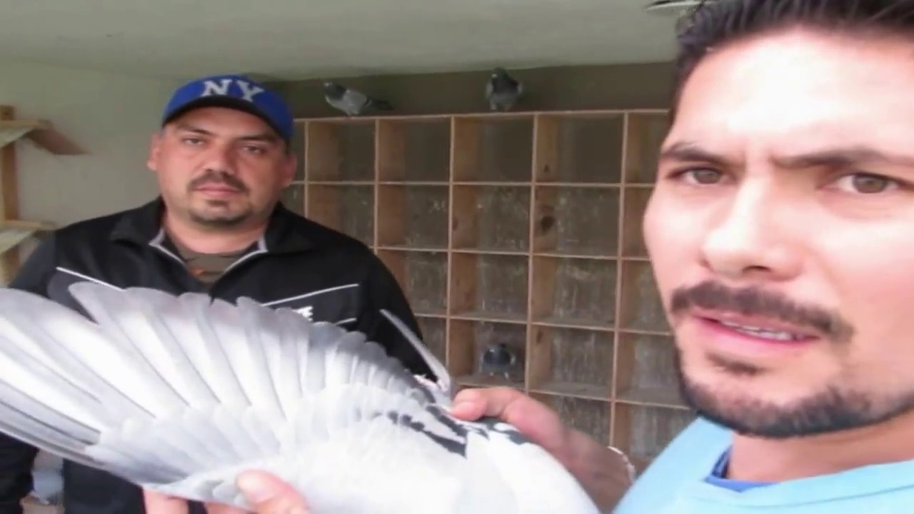 THE SECRETS OF THE CASTAÑEDA BROTHERS