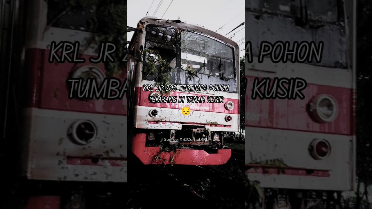 KRL JR 205 tertimpa pohon tumbang di Tanah Kusir 😱😰#krlcommuterline #commuterline #train