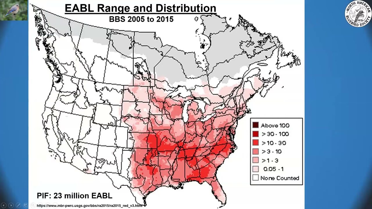 Population Trends and Distribution of the Eastern Bluebird (Sialia sialis)