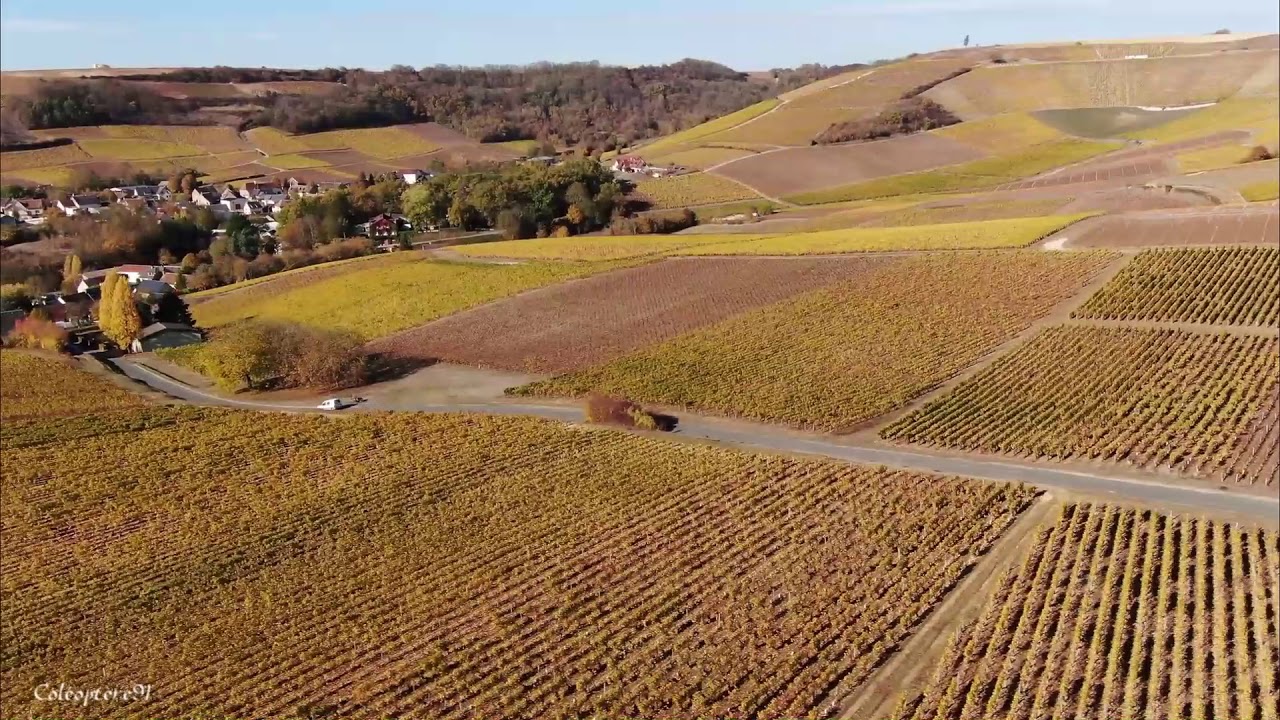 Couleurs d'automne dans le vignoble Sancerrois
