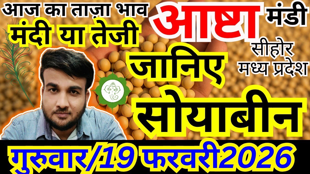 🔥सोयाबीन में आज हल्की मजबूती | क्या अब संभलेगा बाजार? | आष्टा मंडी | Sandeep Nagar 🔥
