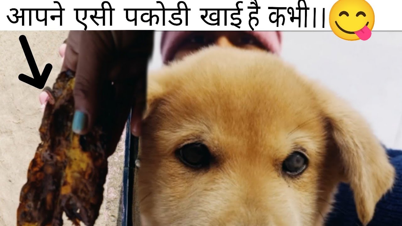 पकोडी+बारी।। आपने भी खाया है कभी ऐसा।। 