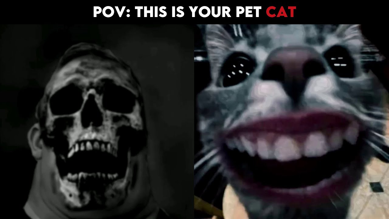 Mr Incredible Becoming Uncanny... | This Is Your Pet Cat | V.58