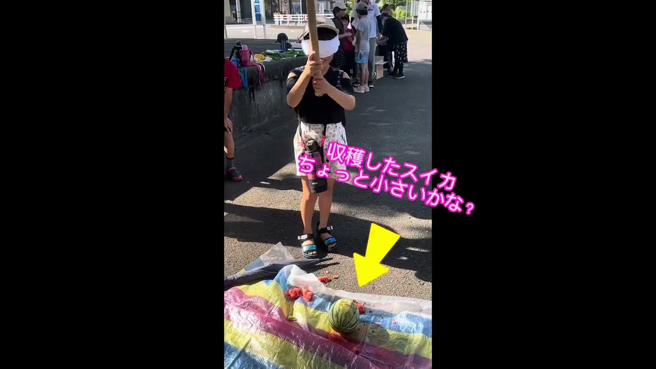 2024年8月7日スイカとゴーヤ収穫＆スイカ割り大会の回