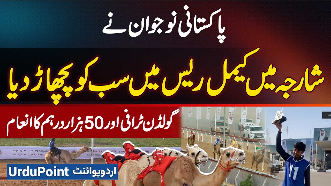 Pakistani Rider Wins Sharjah Camel Race - Takes Home Golden Trophy & 50000 Dirham Prize