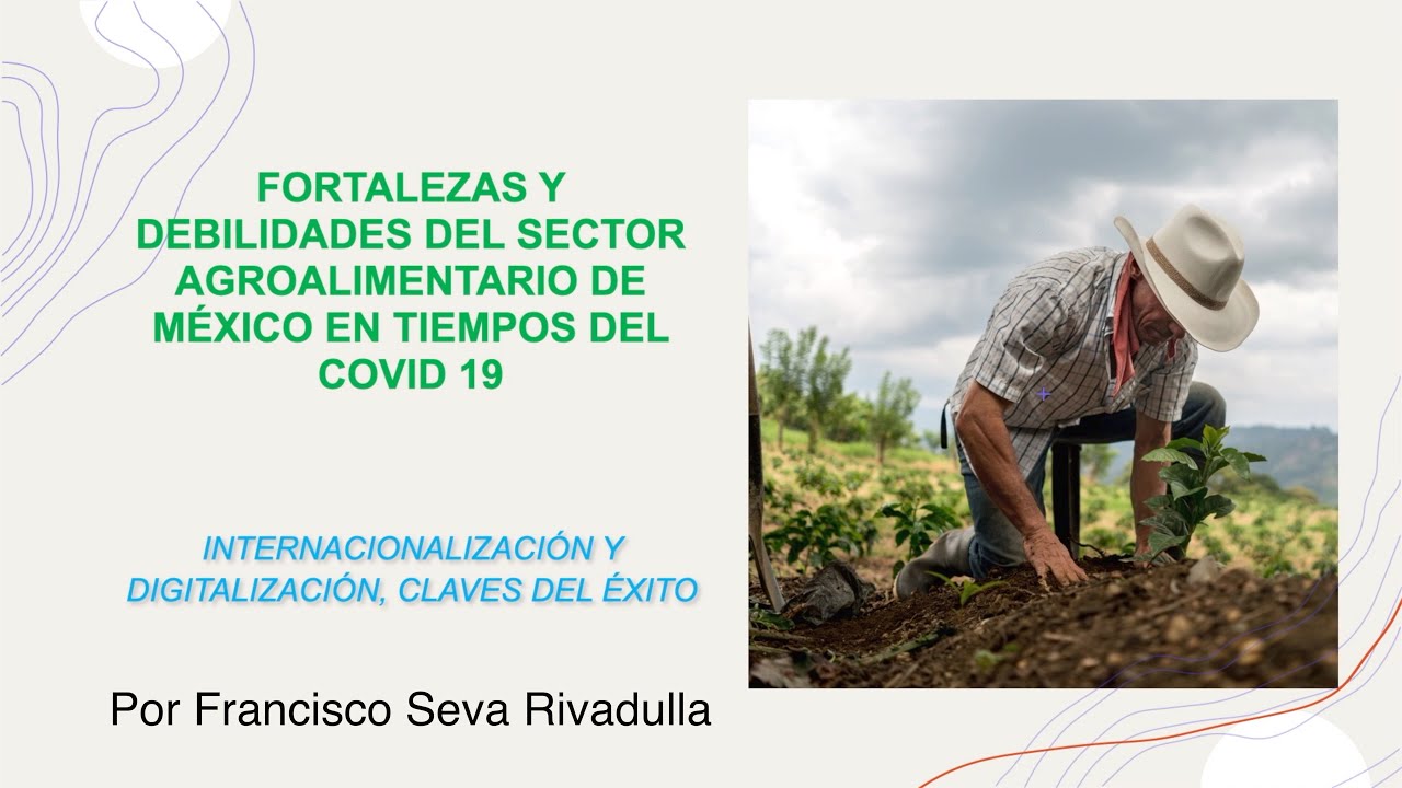 Fortalezas y Debilidades del Sector Agroalimentario de M&eacute;xico en Tiempos de Pandemia