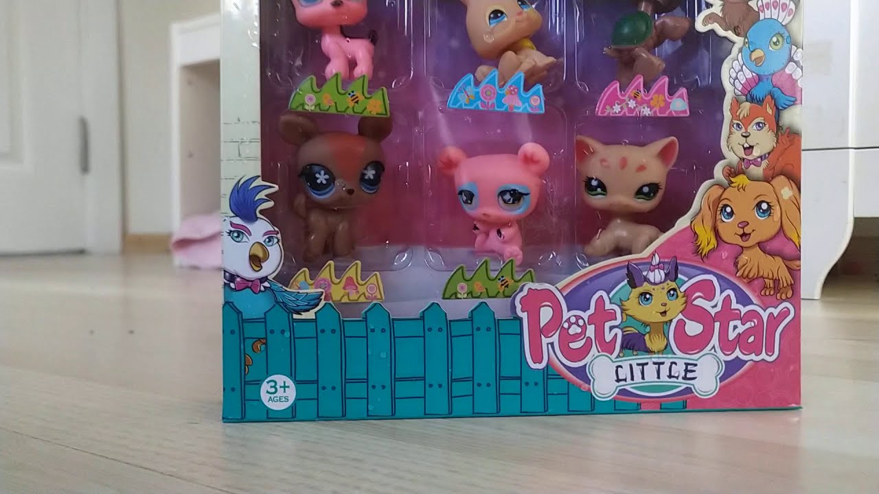 6 lı Miniş ailesini açıyoruz