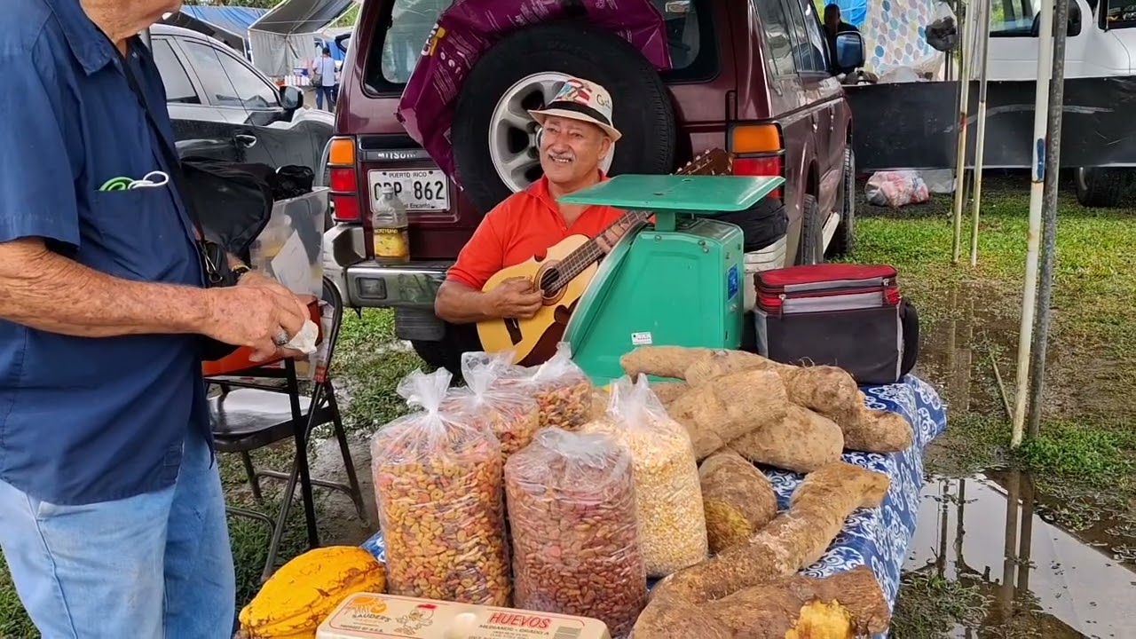 Hoy nos vamos a el Pulguero en Las Piedras 🇵🇷aquí encontrarás de todo un poco. Acompáñanos 🙏