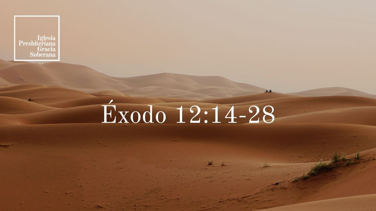 Éxodo 12:14-28 | Sermón del domingo por la mañana 1.3.26