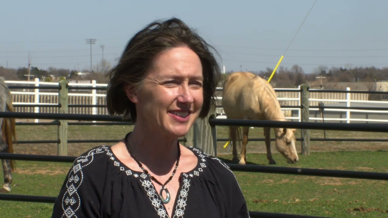 How Should You Manage Pastures for Horses?