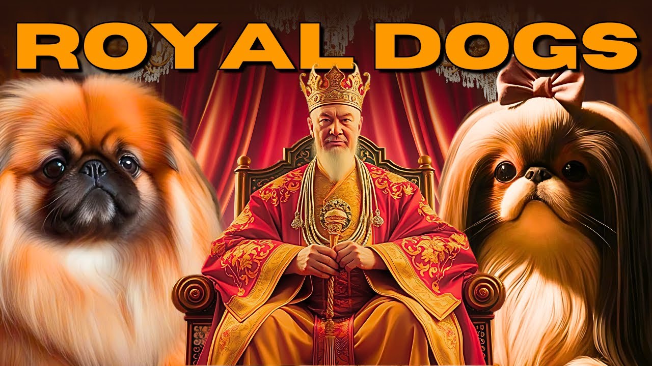10 Most Majestic Dog Breeds Fit for Kings | Top 5ology