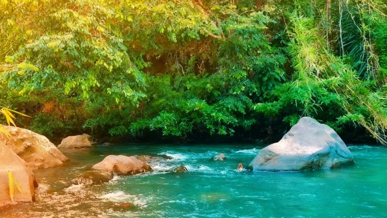 Pure Flowing River Sounds 🍃 White Noise for Deep Sleep
