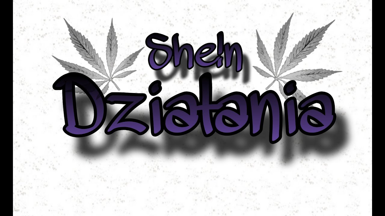 she!n - działania (Prod.Memento x Benz)