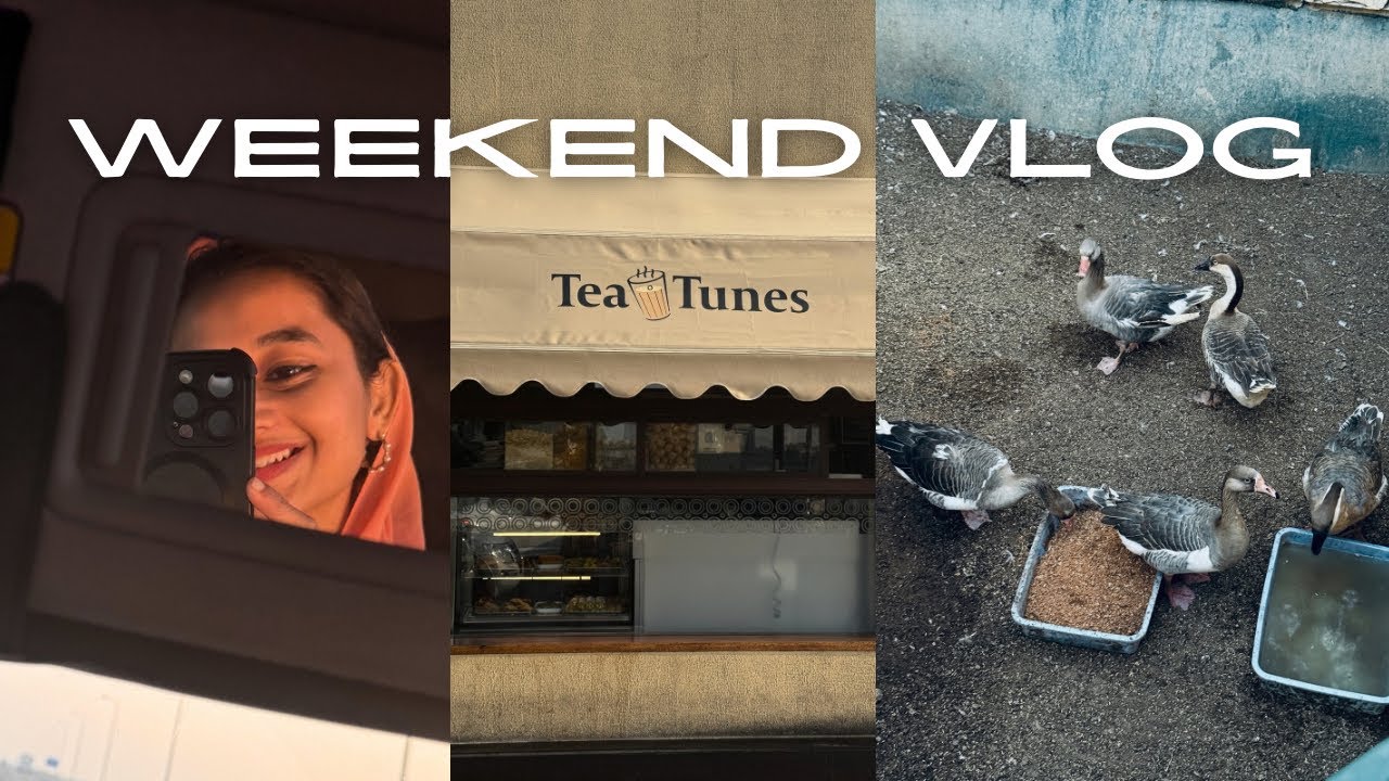 slice of my weekend 🦢🫕/ malayalam vlog 
