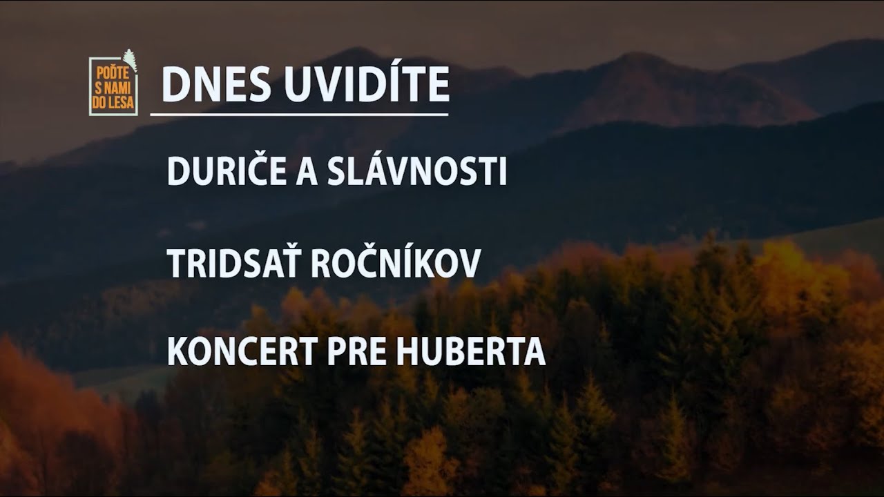 Poďte s nami do lesa 13/2022