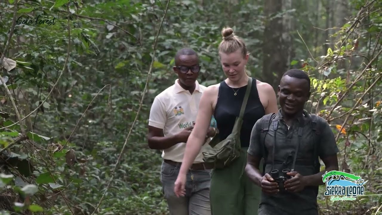 Gola Rainforest National Park | Sierra Leone National Tourist Board