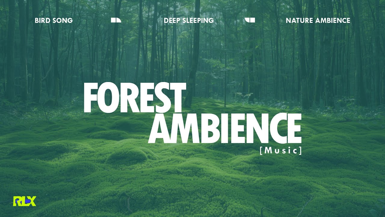 RLX -ForestAmbience | NatureSound | Suasana Hutan | RelaxingSound | DeepSleep | TidurNyenyak