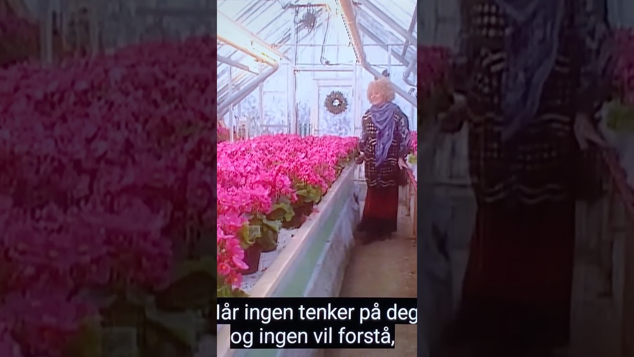 julesang Amalies