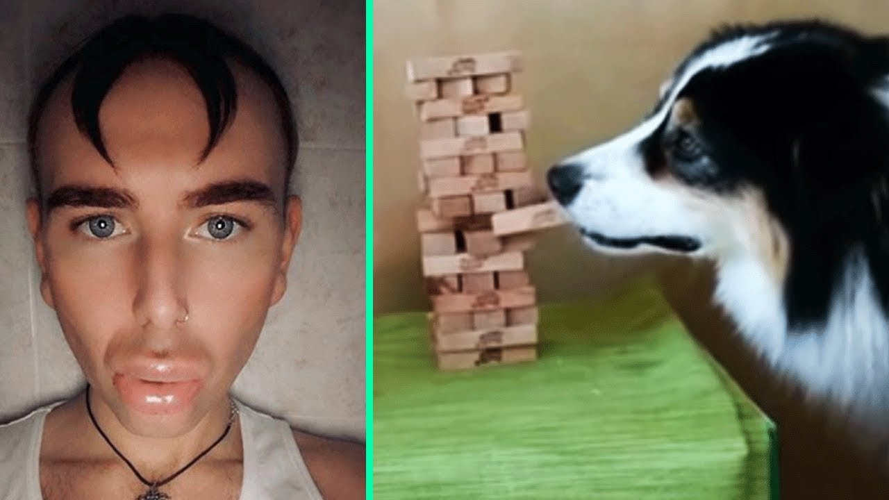 🤯 Top Trending | Epic TikTok Videos Compilation #3