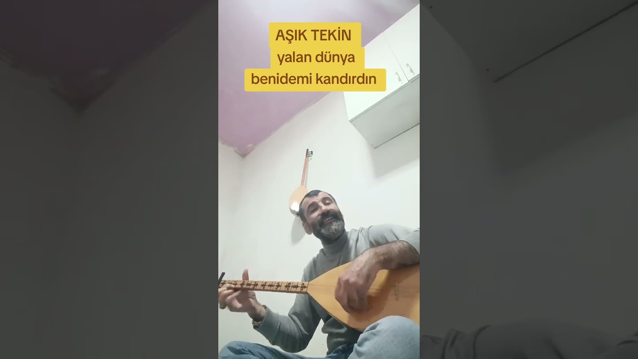 TEKİN KIZILKULA YALAN DÜNYA BENİDEMİ KANDIRDIN 