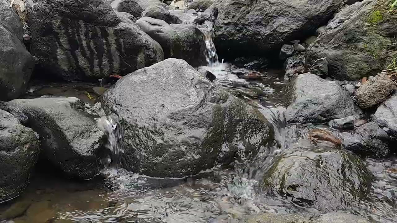 Relax and Sleep Better with Water and Bird Sounds
