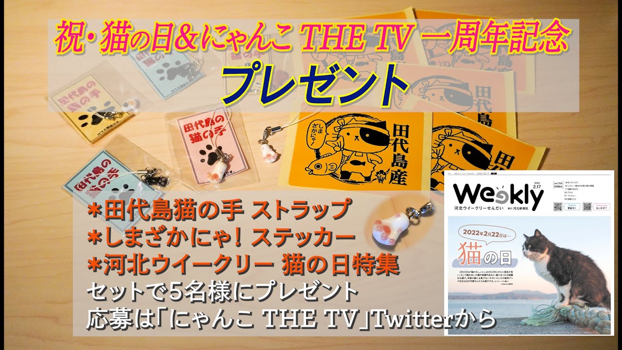 祝・猫の日＆にゃんこ THE TV一周年〜元祖・猫島、田代島の魅力とは…