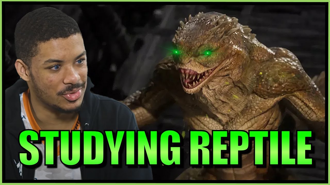 SonicFox -  My 13% Reptile Is Going Crazy【Mortal Kombat 1】