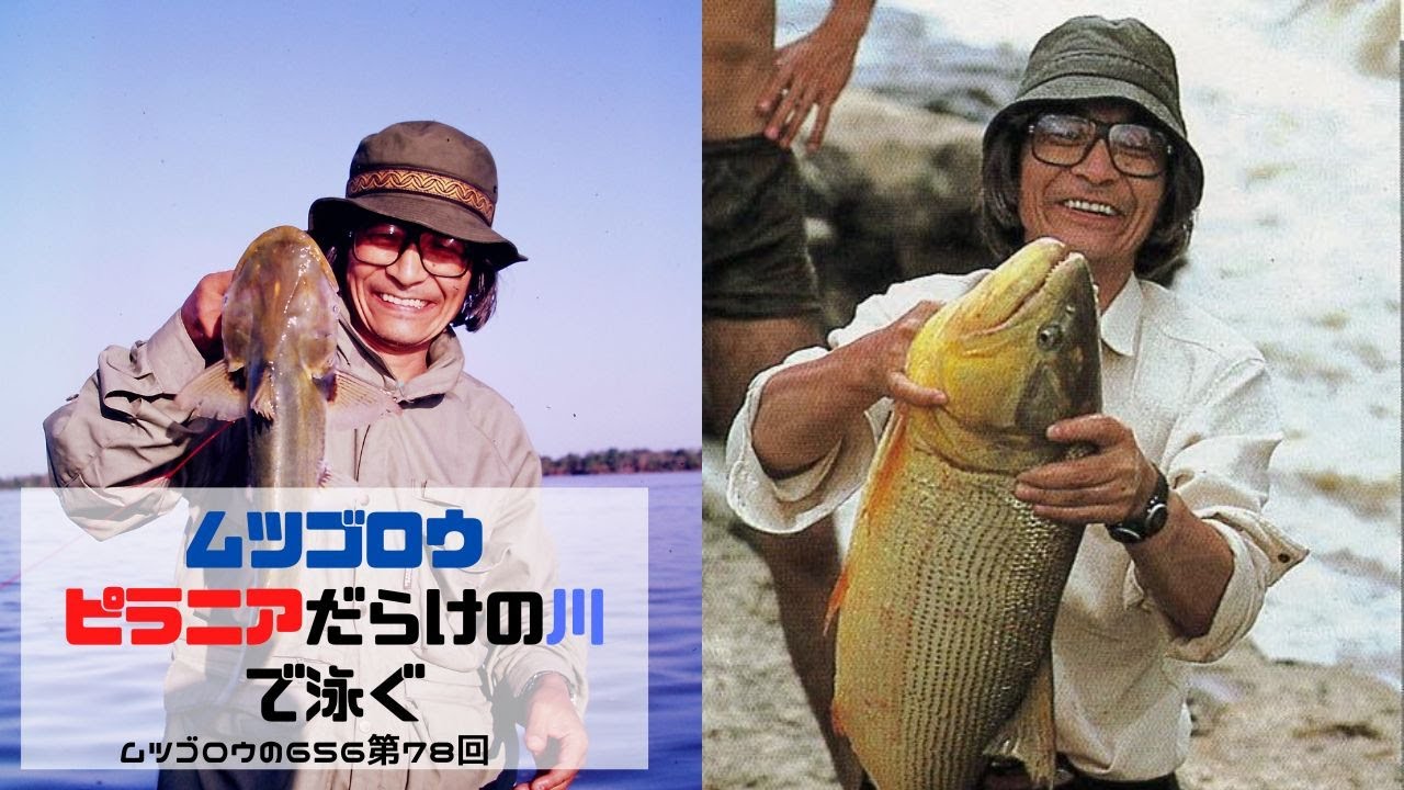 第78回　ムツゴロウ、ピラニアだらけの川で泳ぐ