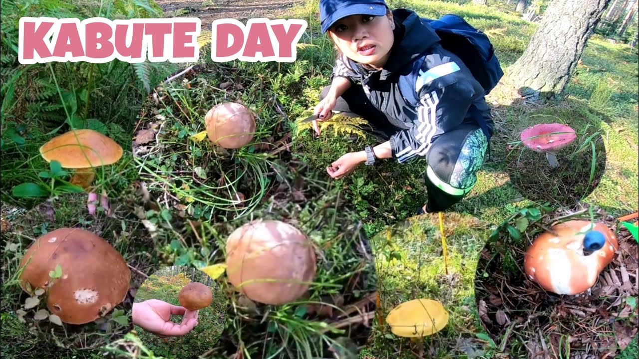 KABUTE ANG BIYAYA NG KAGUBATAN | MUSHROOM PICKING | Thai-Finnish Pero Pusong Pinay