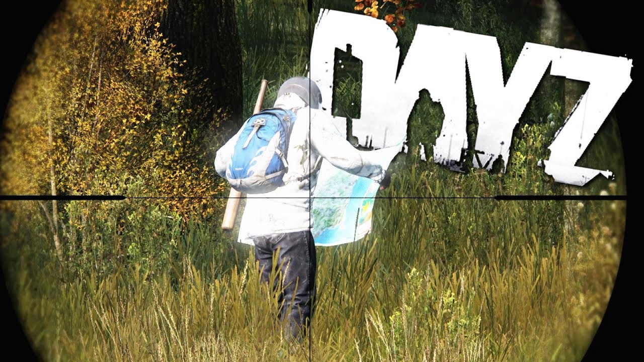 DayZ Survivor Stories - The No Mic Team Up And FAL Rampage!