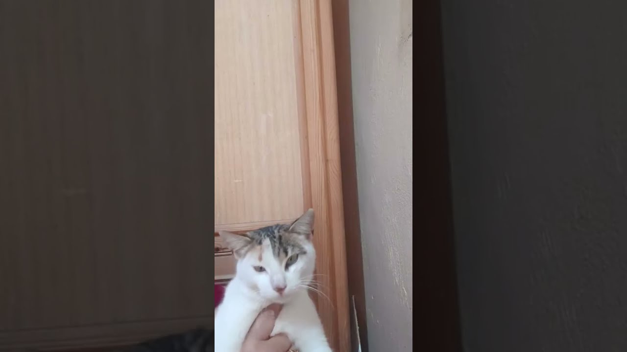 مرحبا بيكم