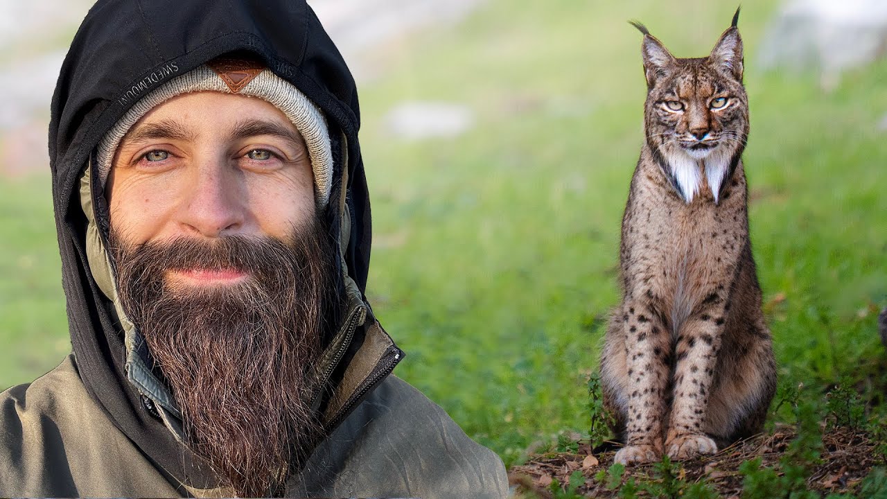 Así logré fotografiar al lince ibérico 🐱