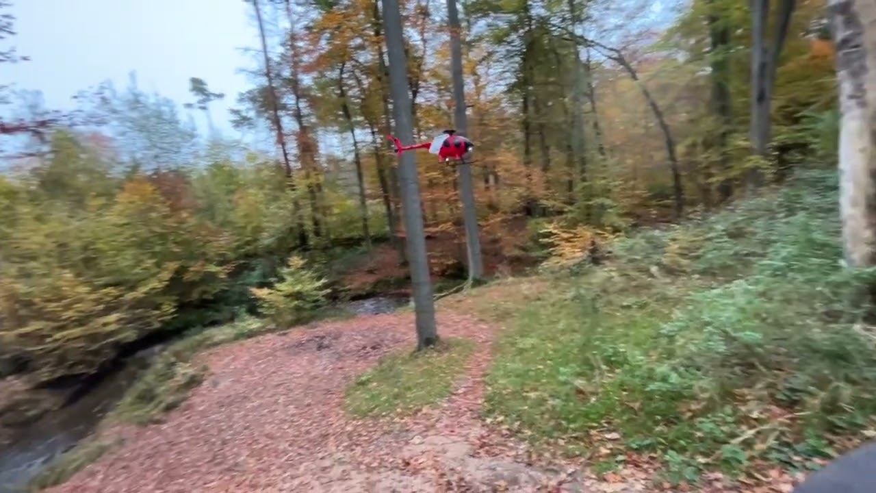 RC era C189  a short flight in the forest before the rain comes