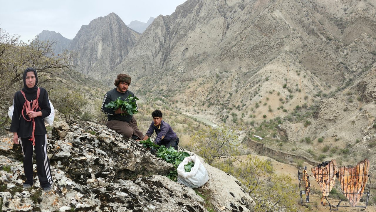 ⛰️ Crossing dangerous mountains for survival | Real nomadic life and mountain herb hunting