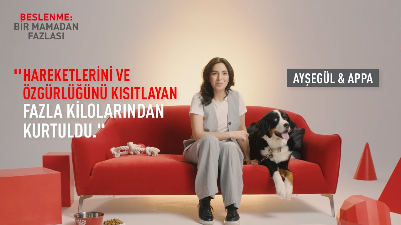 K&ouml;peğimin Aşırı Kilolarından Nasıl Kurtulduk? // Royal Canin Satiety