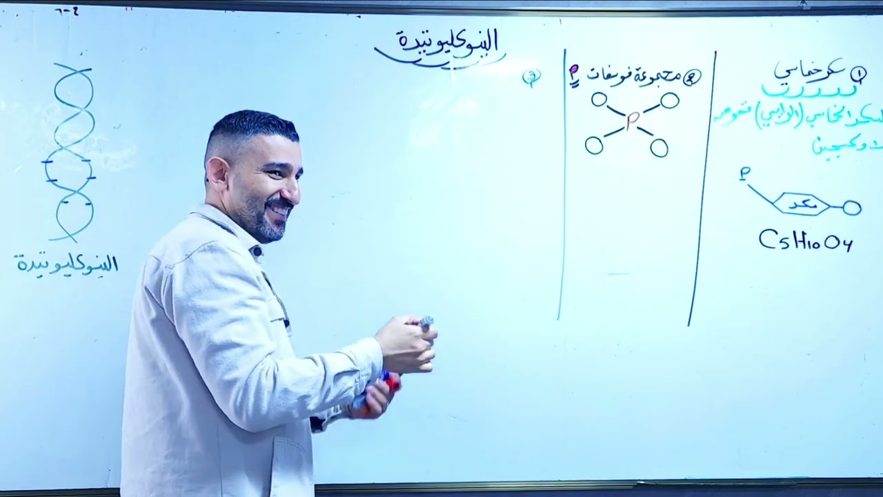تركيب النيوكليوتيدة و ال RNA
