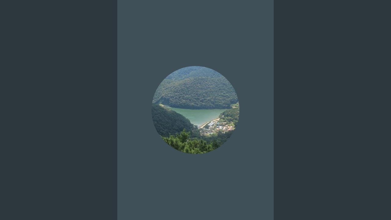 화왕산 도천경매장 라이브 스트리밍 중
