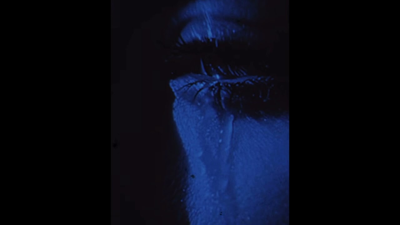 (Free)Shoegaze x Wisp Type Beat 