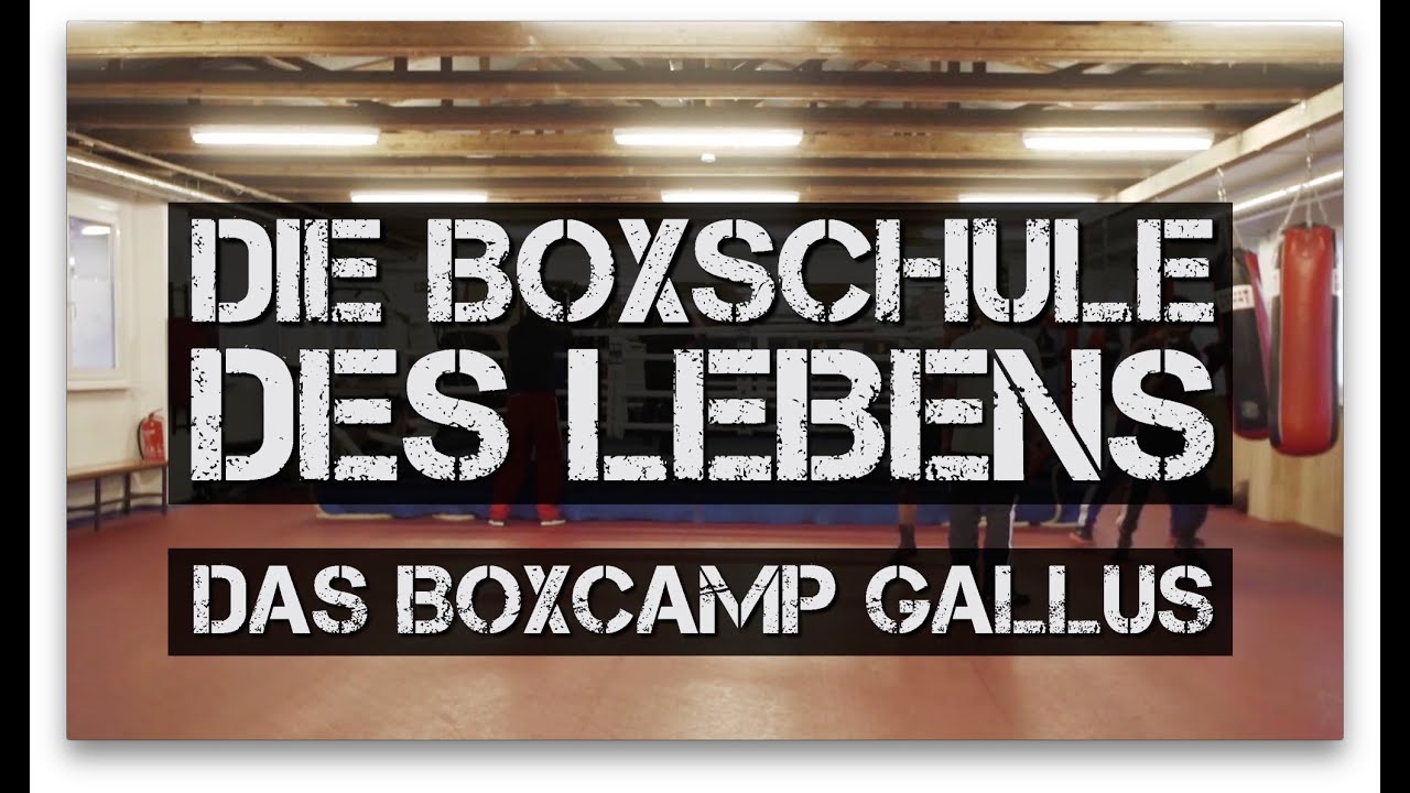 Die Boxschule des Lebens // Das Boxcamp Gallus