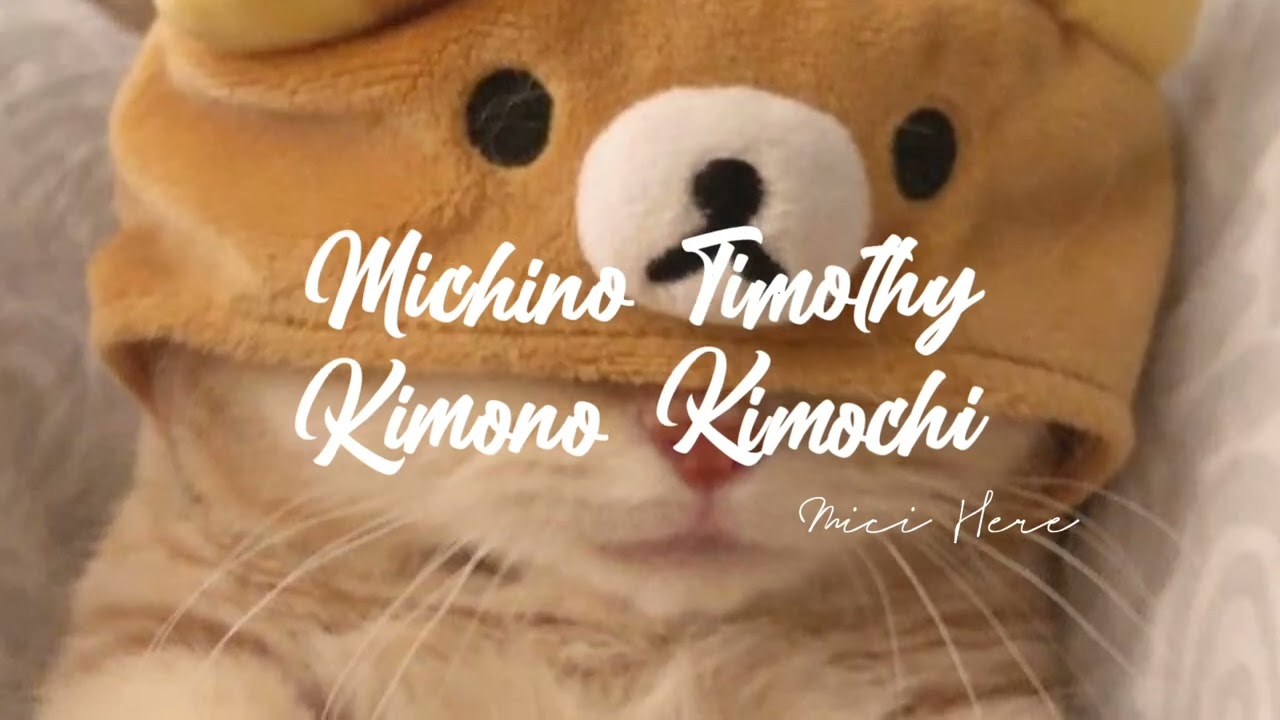 michino timothy kimono kimochi - anne happy || speed up