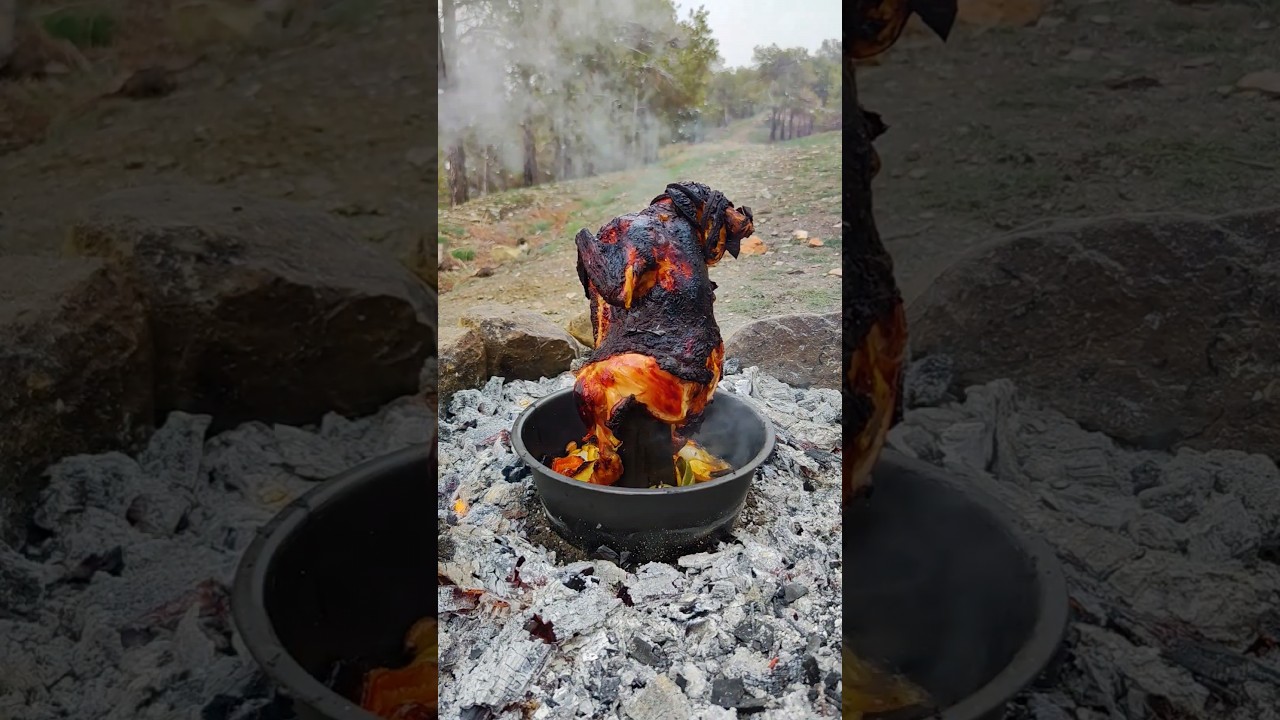 whole roasted chicken in nature