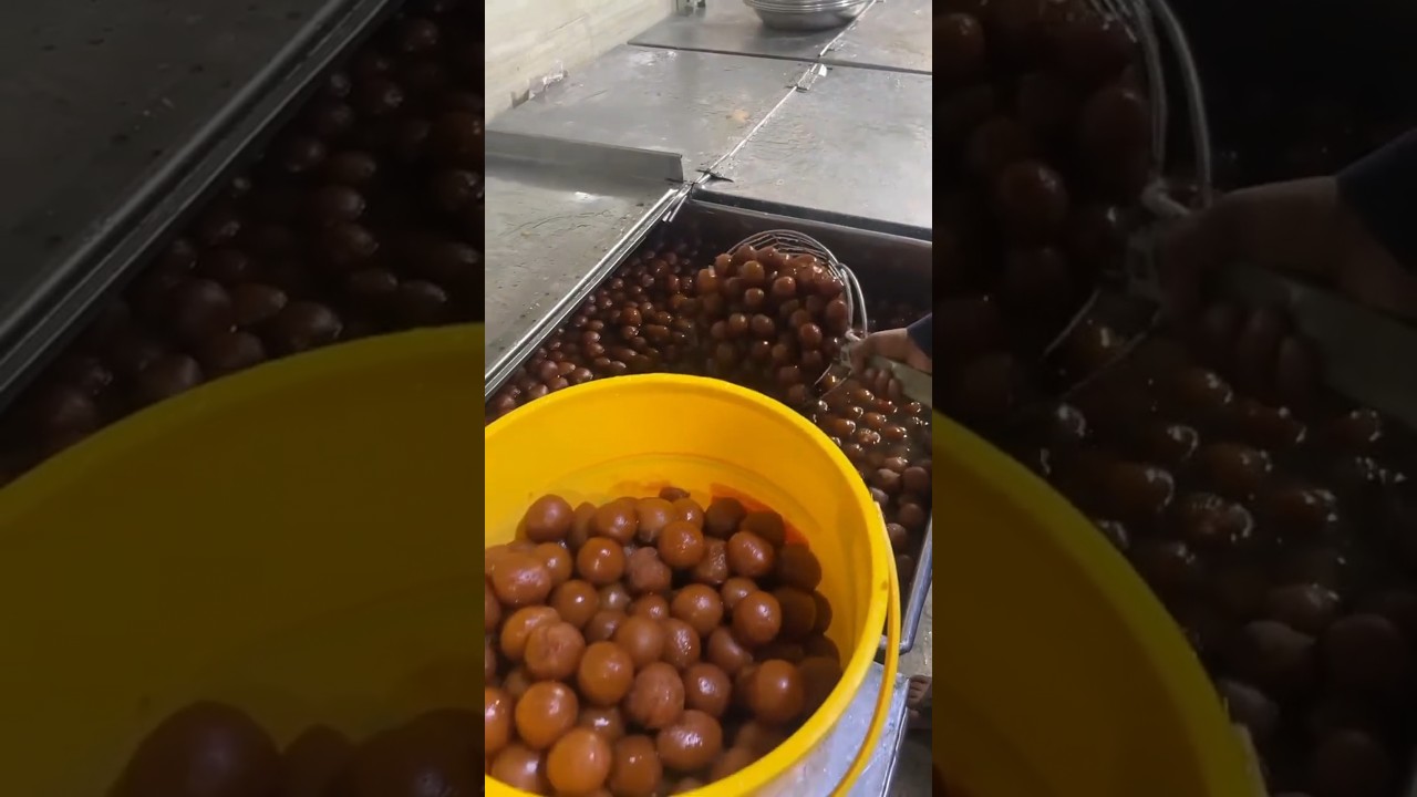 Gulab Jamun factory  #ladyvlogger #viralvideo