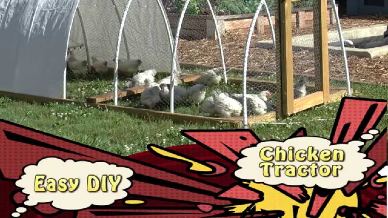 Easy DIY Chicken Tractors