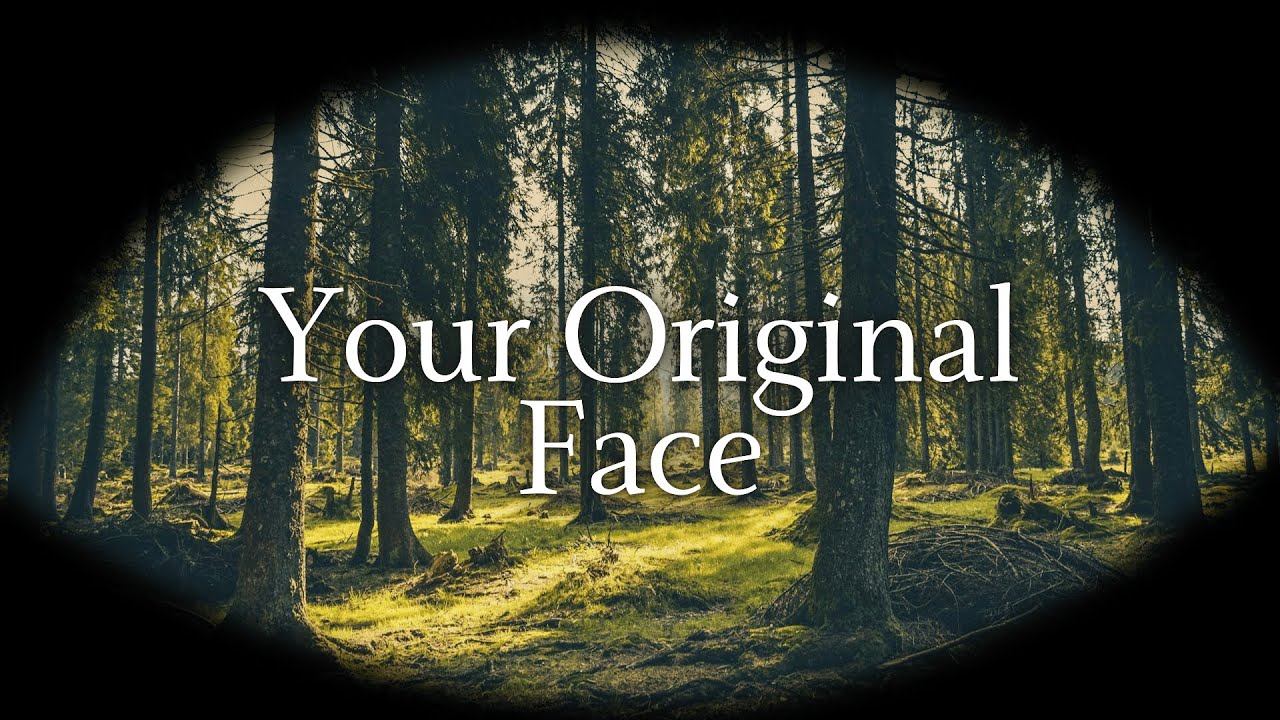 The face you had before you were born | Huineng's question and the answer