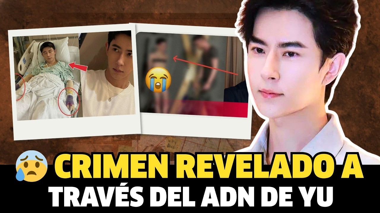 Fan Shiqi y el ADN en el caso Yu Menglong ¿Accidente o encubrimiento?