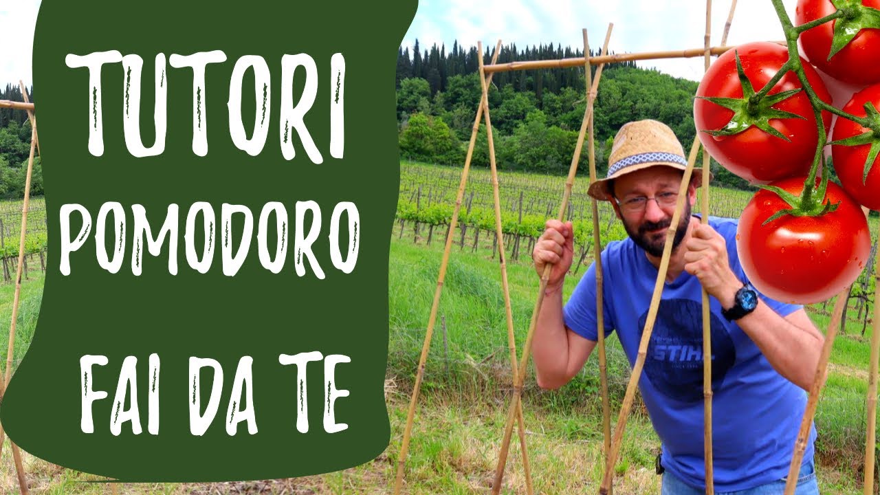 Tutori POMODORI: costruire sostegni FAI DA TE per ORTO