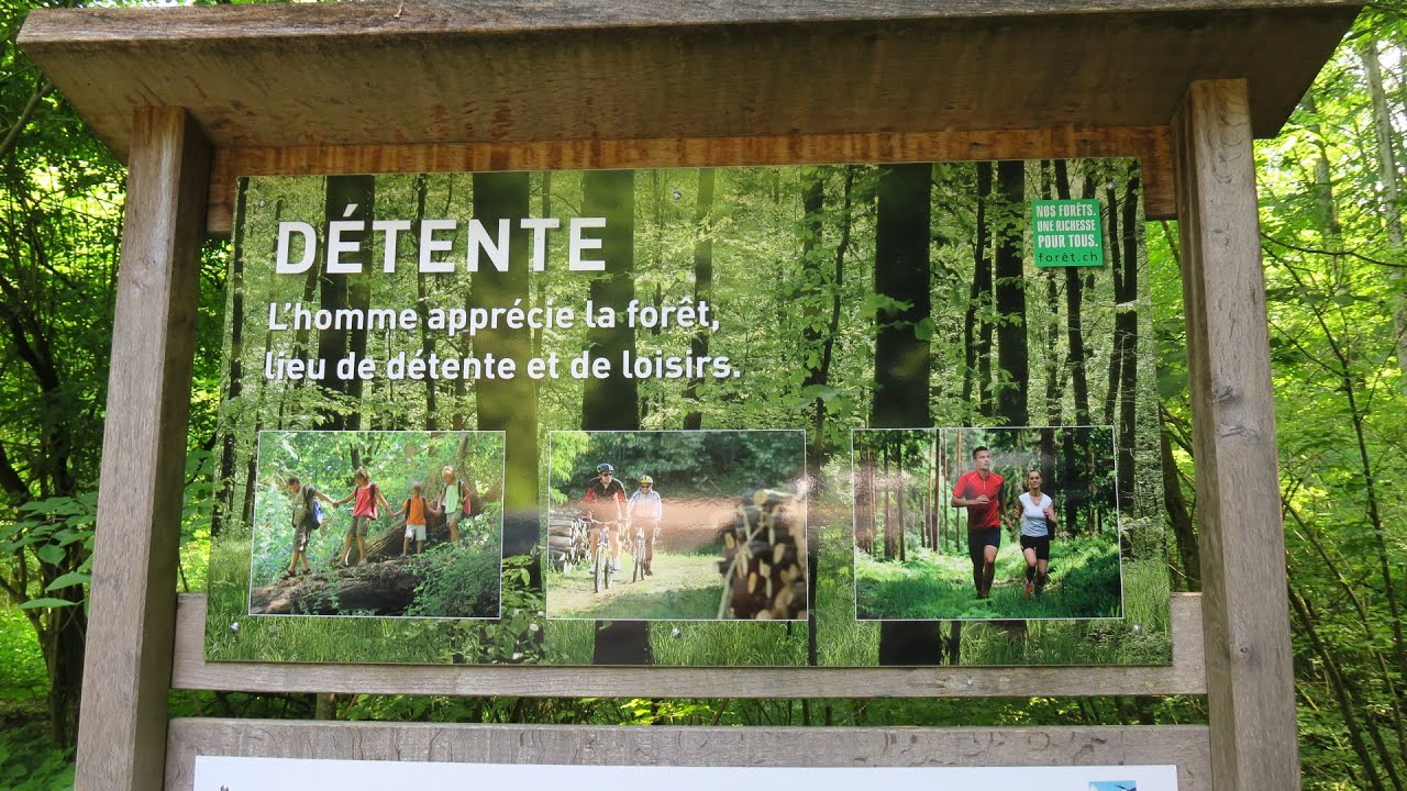Gruyéres - Jaunbachschlucht - Charmey /// 10. Juni 2021